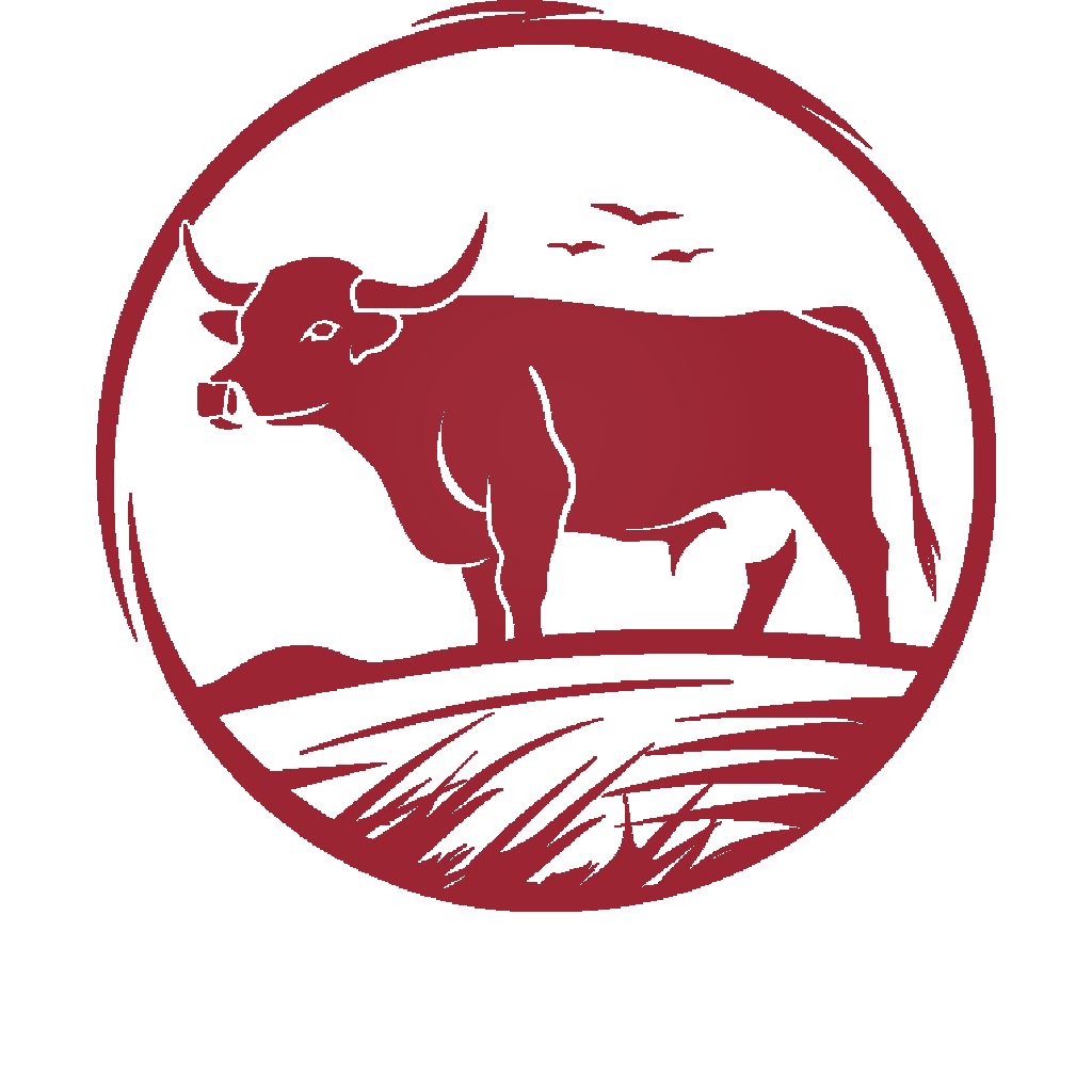 Mięso Dojrzewające i Dziczyzna | Wołowina Premium Limousin