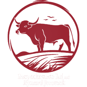 logo_RJ_white